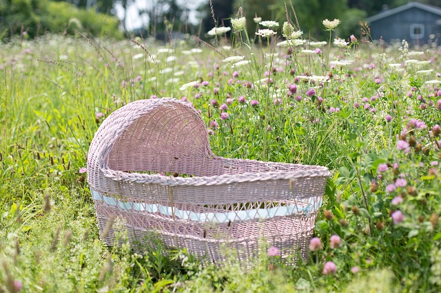 baby bassinet